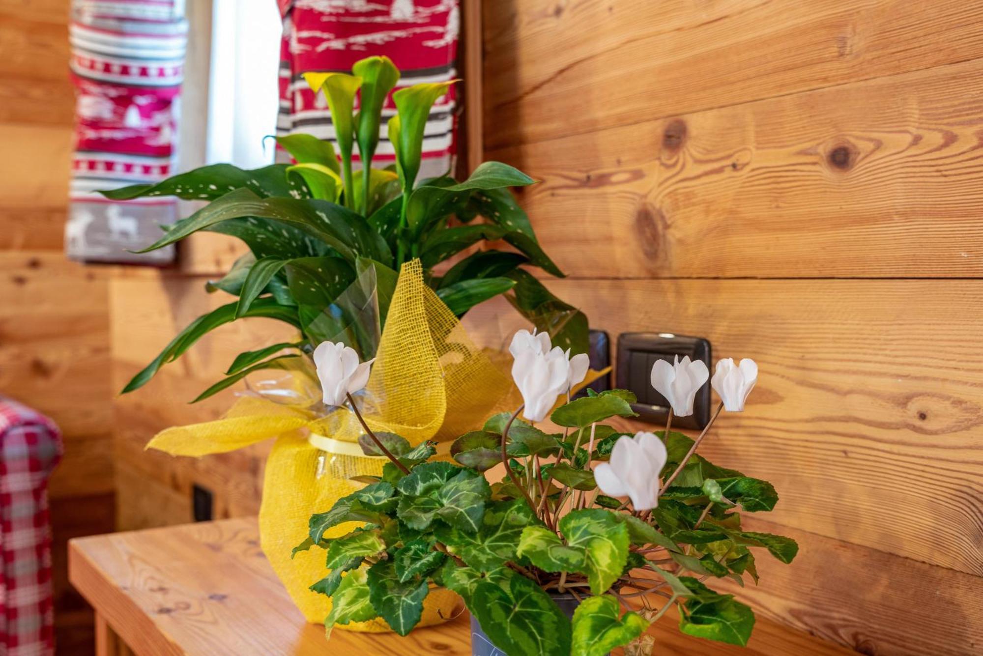 Chalet Camping Fae 3 Villa Madonna Buitenkant foto